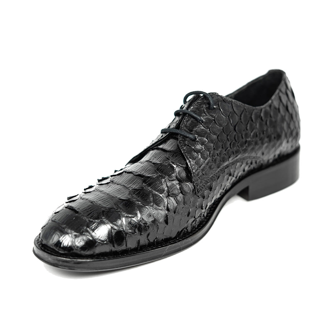 BLACK PYTHON ANTONI