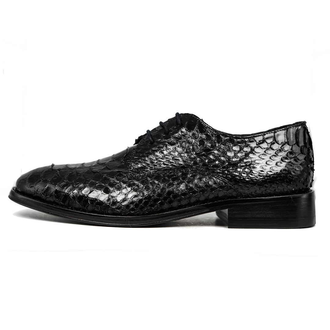 BLACK PYTHON ANTONI
