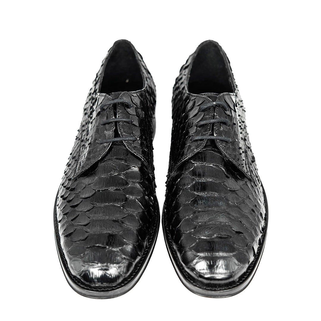 BLACK PYTHON ANTONI