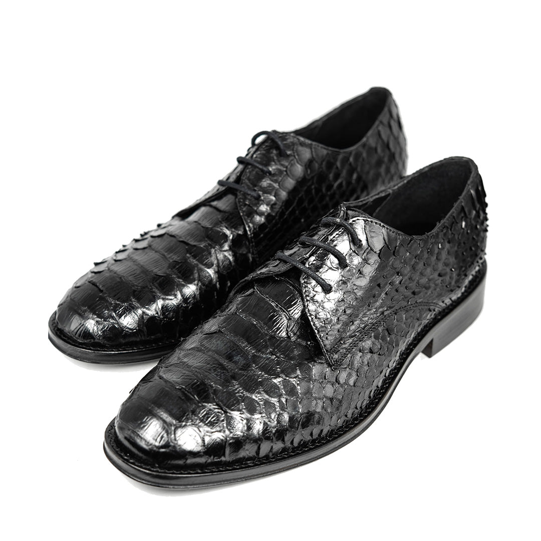BLACK PYTHON ANTONI