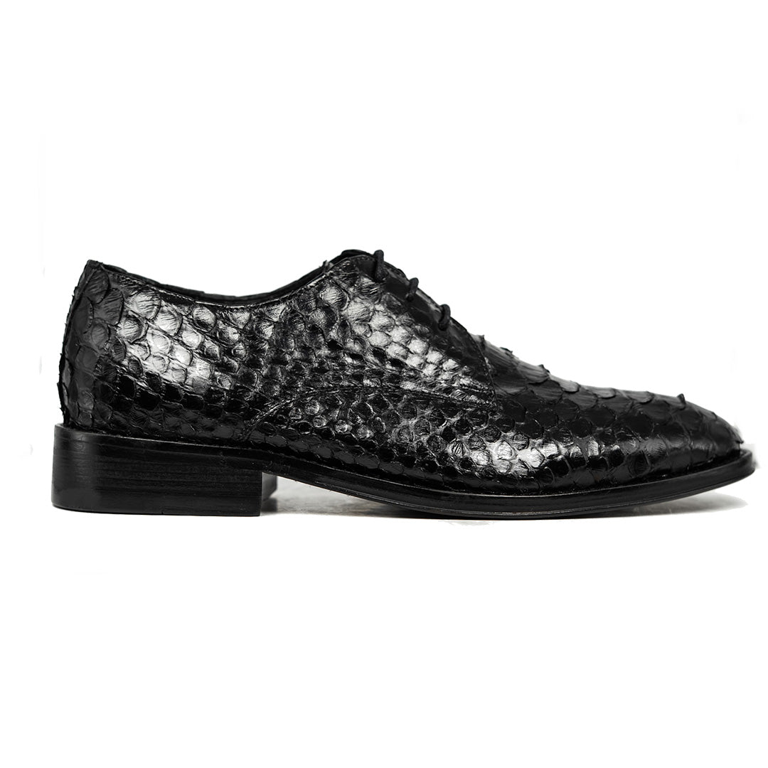 BLACK PYTHON ANTONI