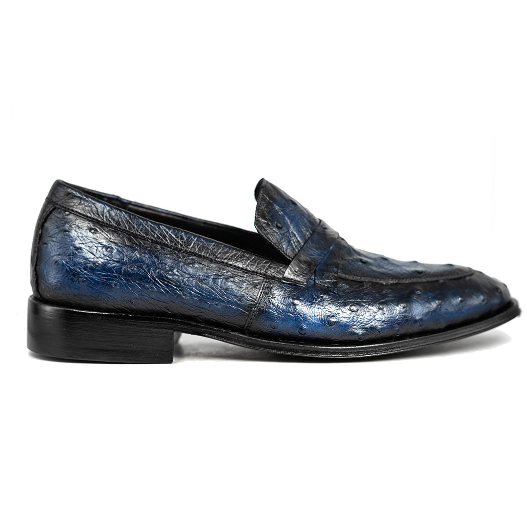BLUE OSTRICH LEONARDO