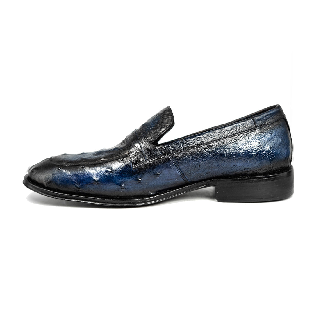 BLUE OSTRICH LEONARDO