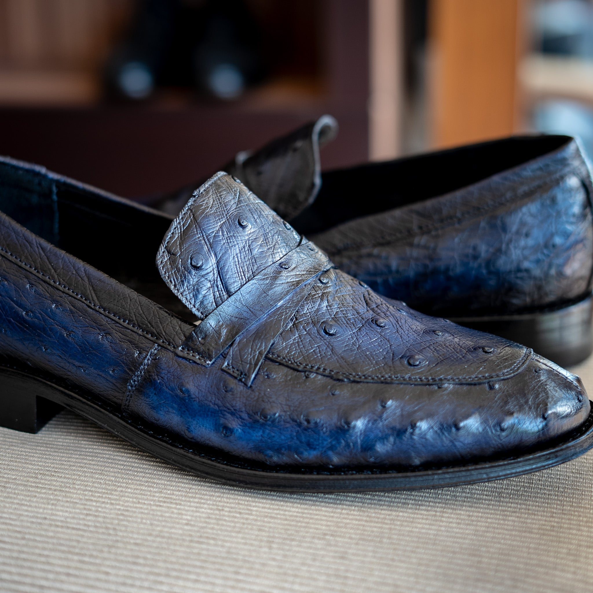 BLUE OSTRICH LEONARDO