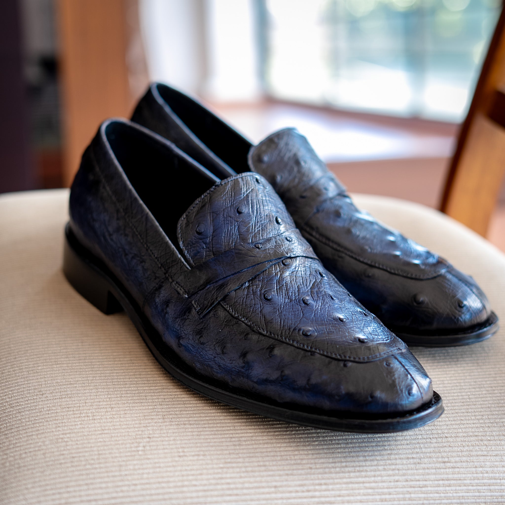 BLUE OSTRICH LEONARDO