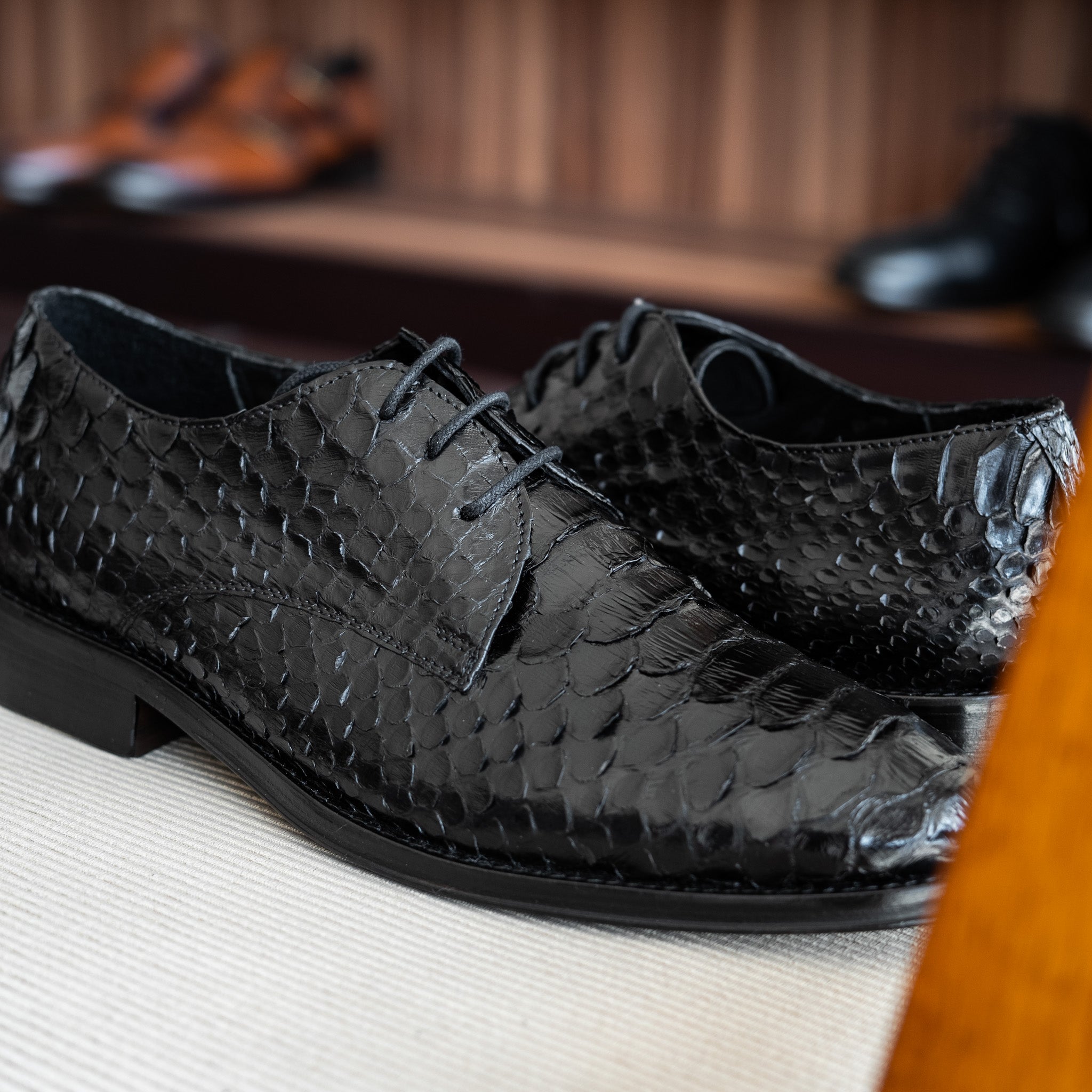 BLACK PYTHON ANTONI