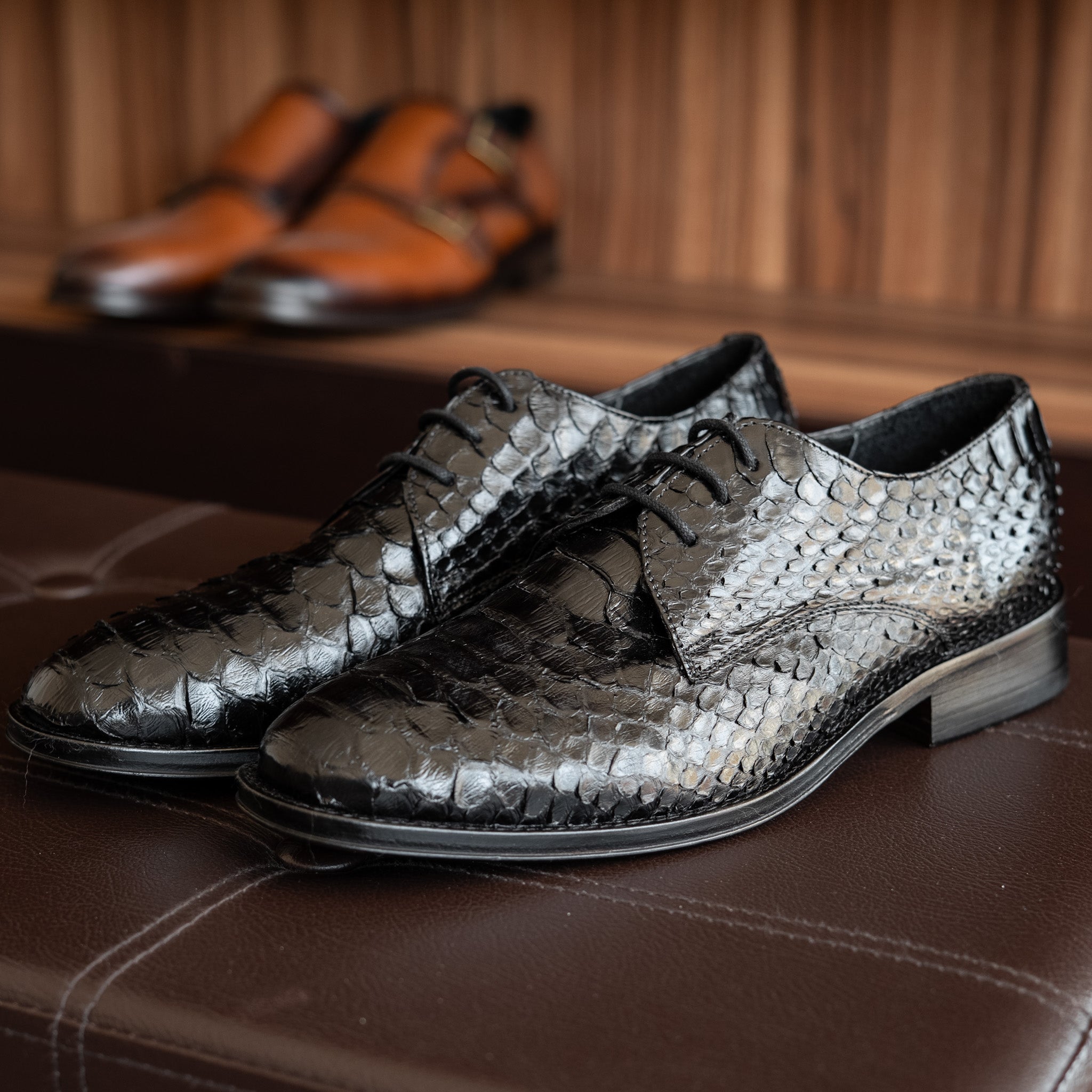 BLACK PYTHON ANTONI