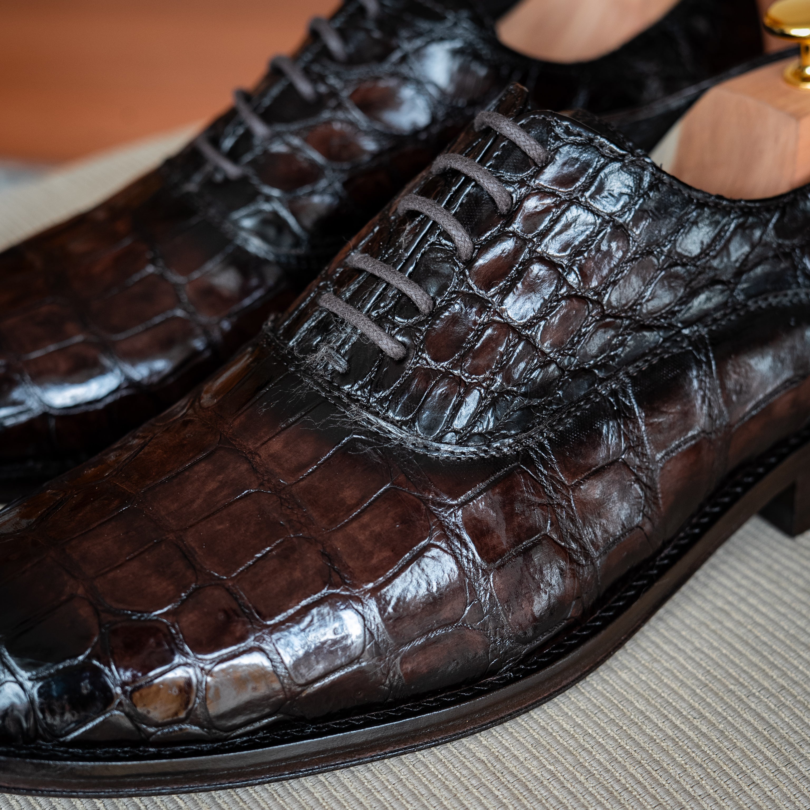 BROWN CROCO ALEXANDER