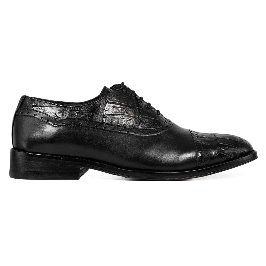 BLACK OSTRICH WILLIAM