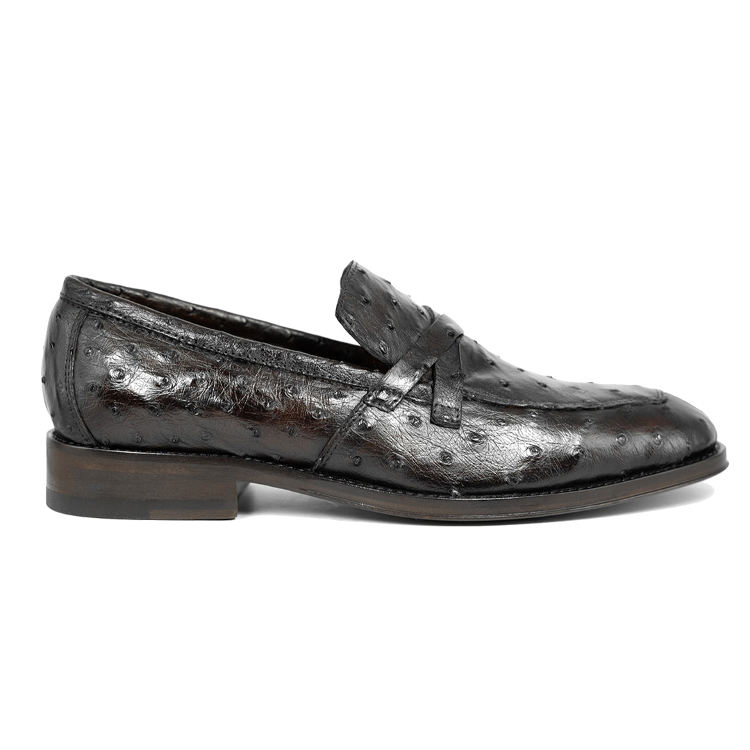 BROWN OSTRICH LEONARDO