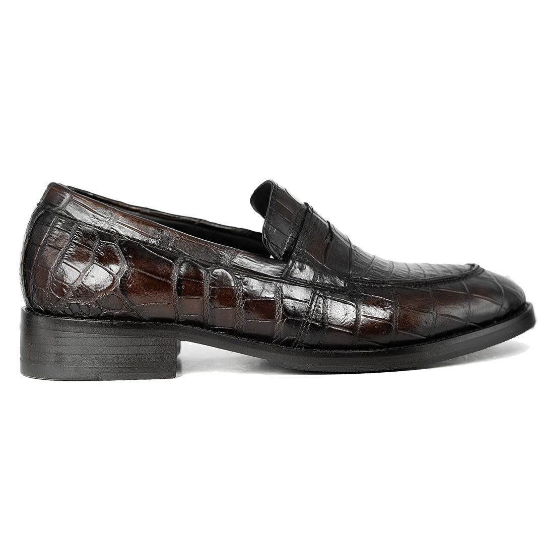 BROWN CROCO MASSIMO