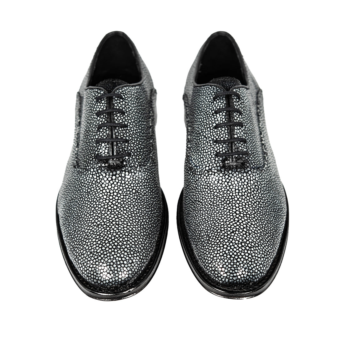 POLISHED STINGRAY ALEXANDER