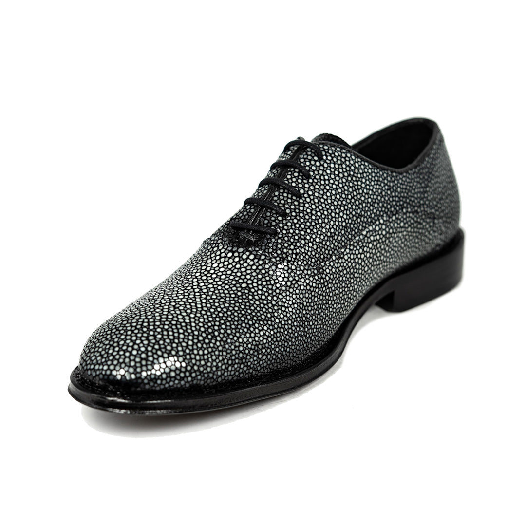 POLISHED STINGRAY ALEXANDER