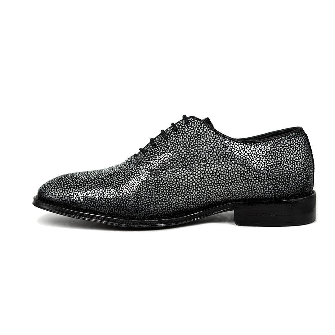 POLISHED STINGRAY ALEXANDER