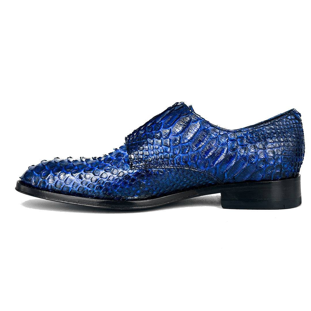 BLUE PYTHON XAVIER