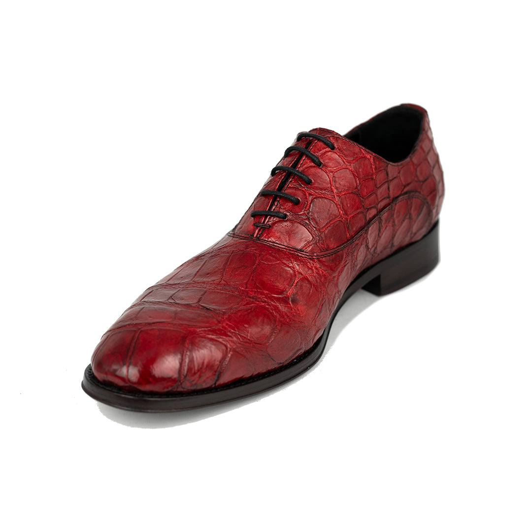 RED CROCO ALEJANDRO