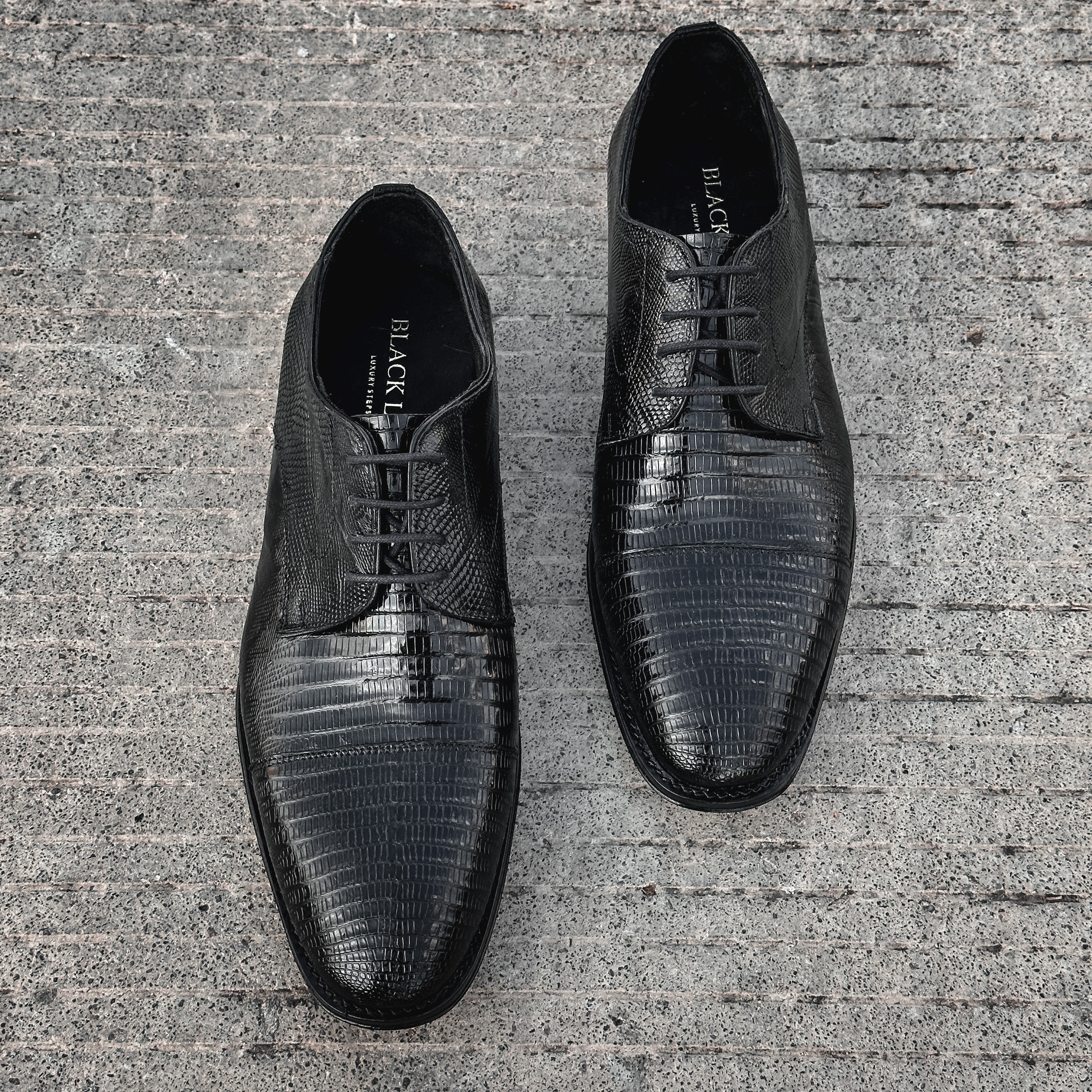 BLACK LIZZARD ANDREW